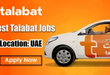 talabat job