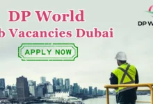 dp world jobs