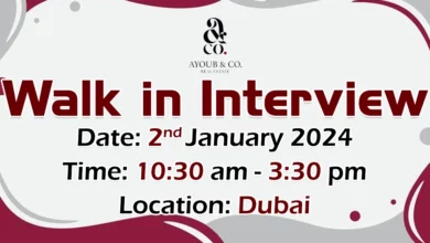 Ayoub & Co Walk in Interview in Dubai