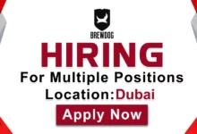 BrewDog Recruitments in Dubai