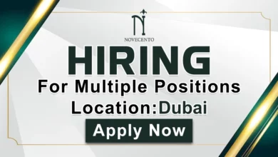 Novecento Recruitments in Dubai