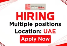 Link Light Recruitments in UAE